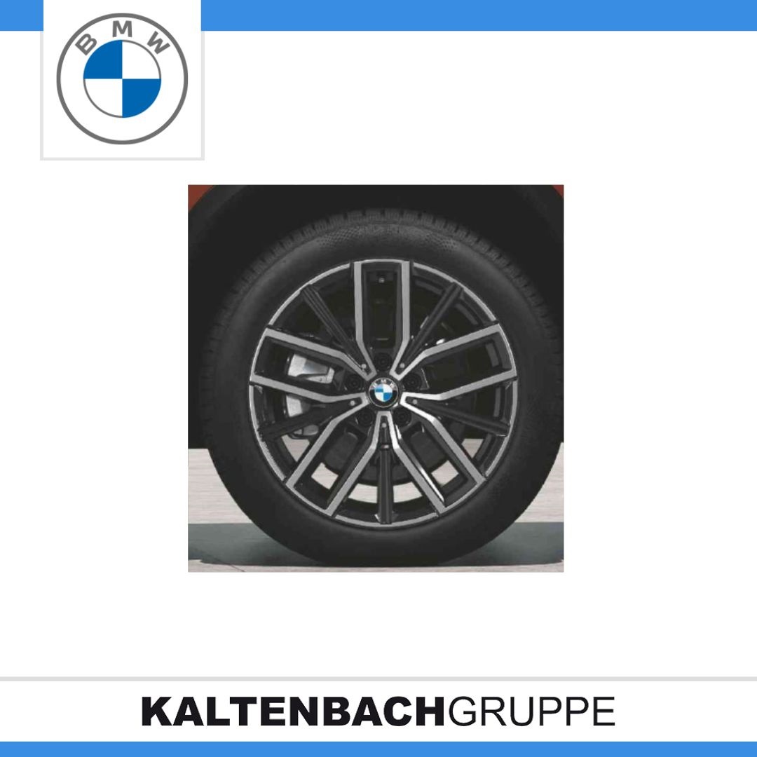 M Doppelspeiche 838M-1.jpg